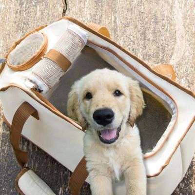 sac de transport chien rating ventilé