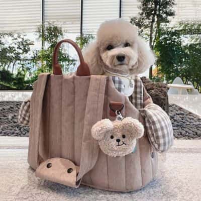 sac-de-transport-pour-chien-Doable-confortable