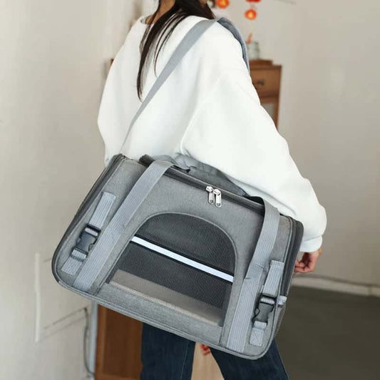 sac-de-transport-pour-chien-Little