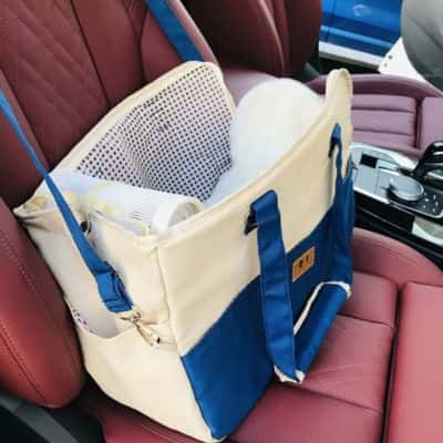 sac-de-transport-pour-chien-Pretty