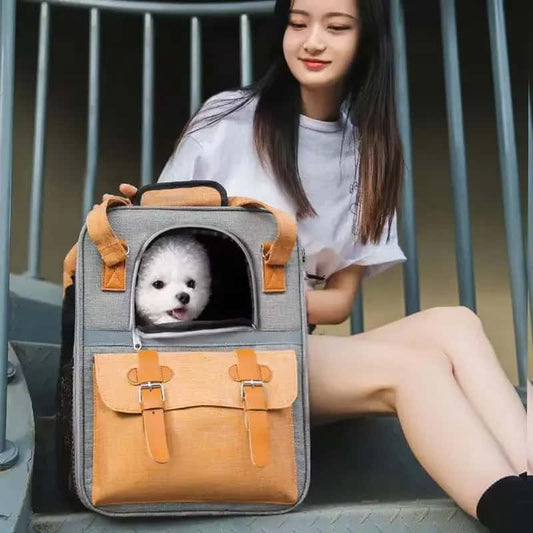 sac-de-transport-pour-chien-confortable