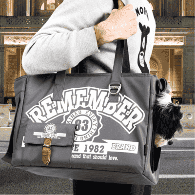 sac-de-transport-pour-chien-fashion