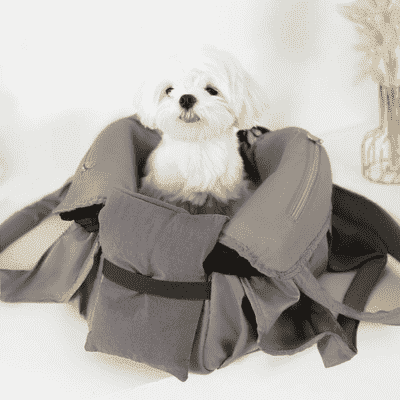 sac-de-transport-pour-chien-soft-esthétique