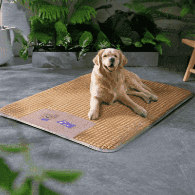 tapis-rafraichissant-chien-confortable