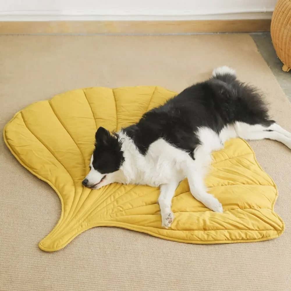 tapis-rafraichissant-chien-cosy