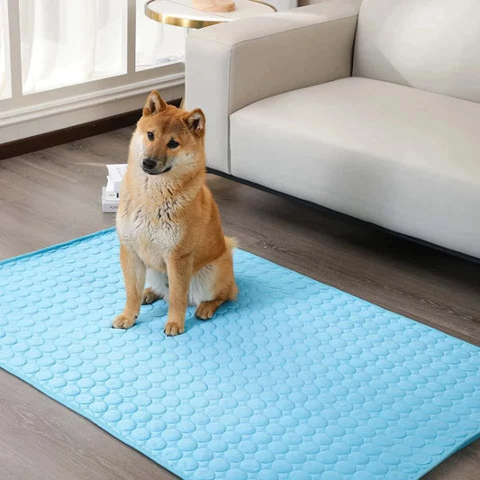 Tapis rafraichissant chien| CarpetDog