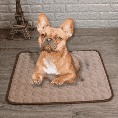 tapis-rafraichissant-chien-doux
