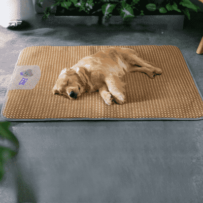 tapis-rafraichissant-chien-doux