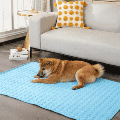 tapis-rafraichissant-chien-esthetique
