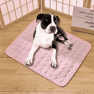 tapis-rafraichissant-chien-moelleux