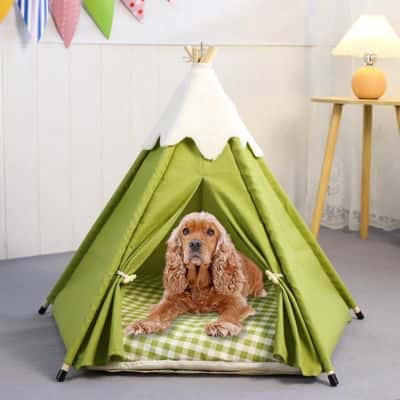 tente chien peter confortable