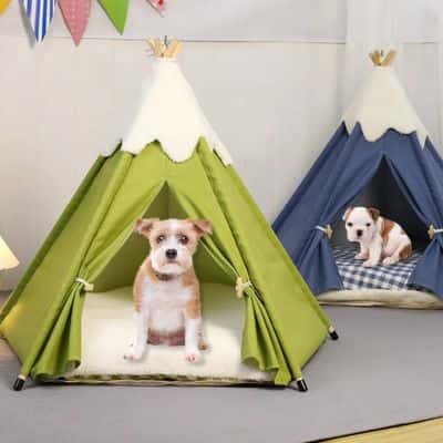 tente chien peter