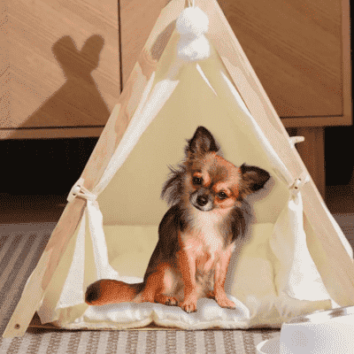 tente pour chien beige TentBeige
