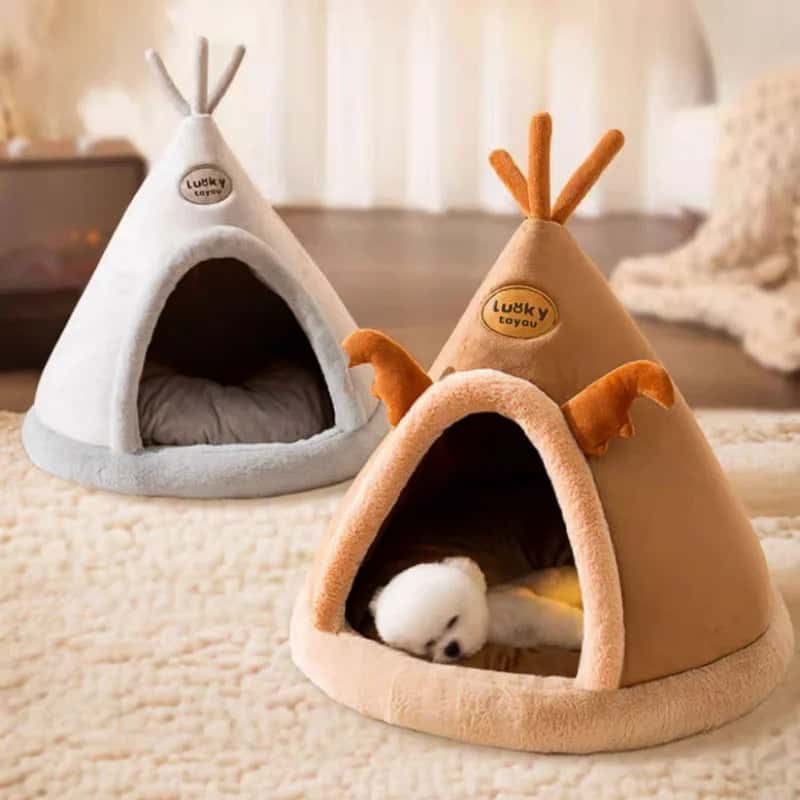 tente pour chien canvas confortable