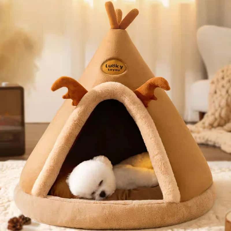 tente pour chien canvas