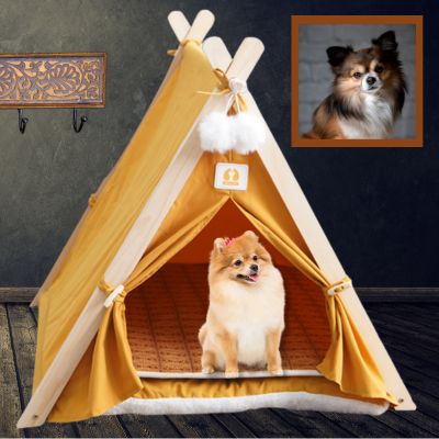 tente pour chien confortable TentOrange