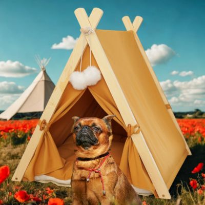 tente pour chien esthétique TentOrange