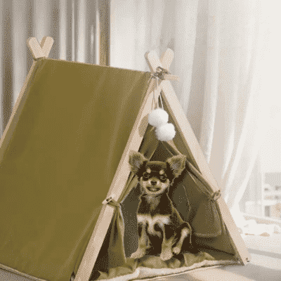 tente-pour-chien-joli