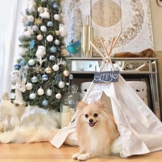 tipi-pour-chien-cosy