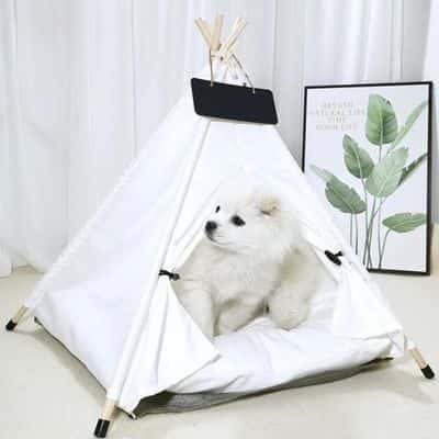 tipi-pour-chien-moelleux