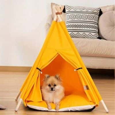 tipi-pour-chien